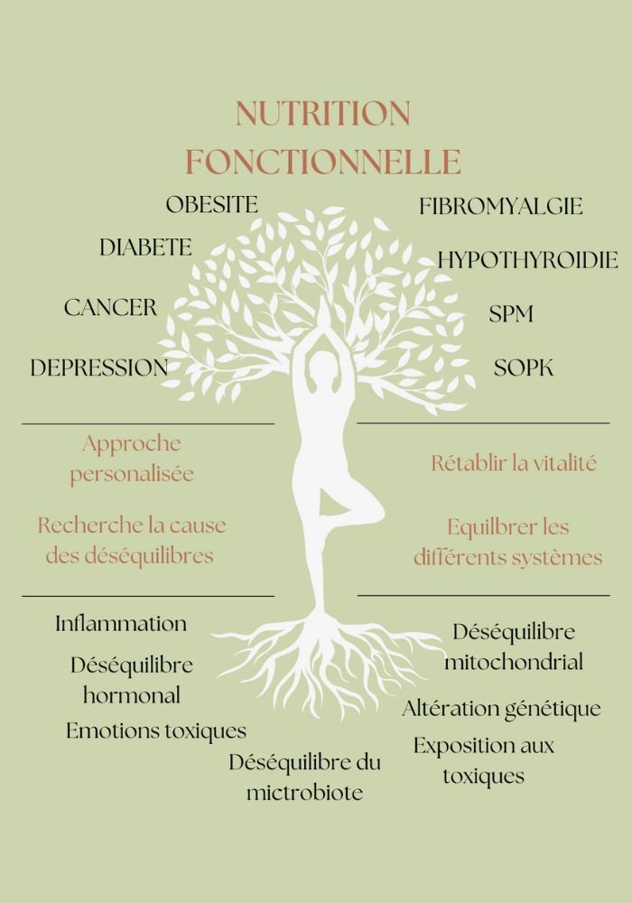 Nutrition fonctionnelle